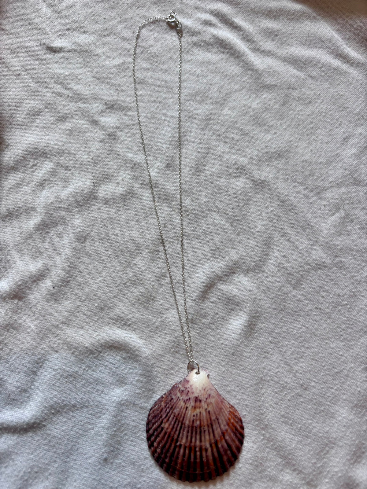 Sterling Silver Shell Necklace
