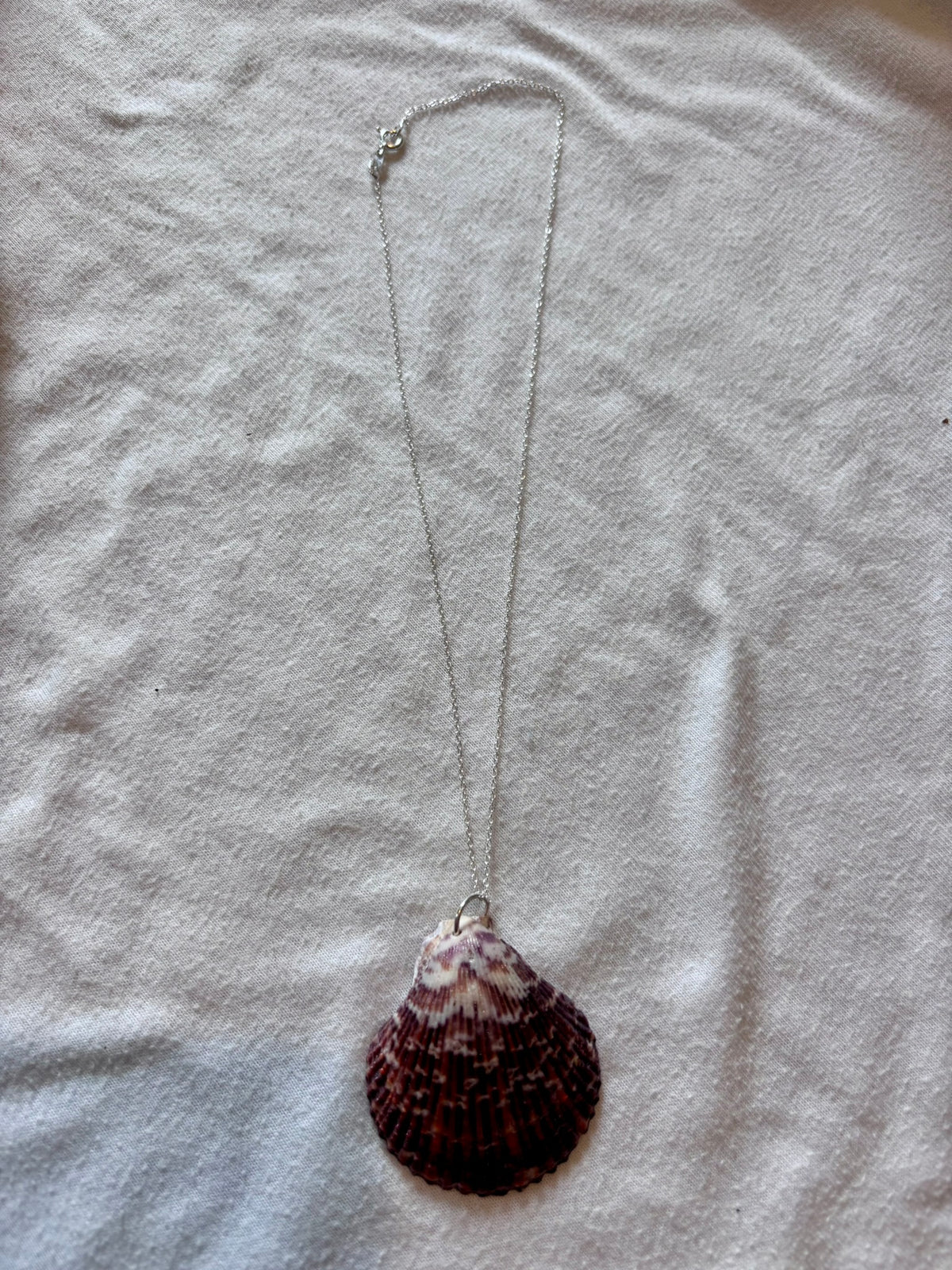 Sterling Silver Shell Necklace