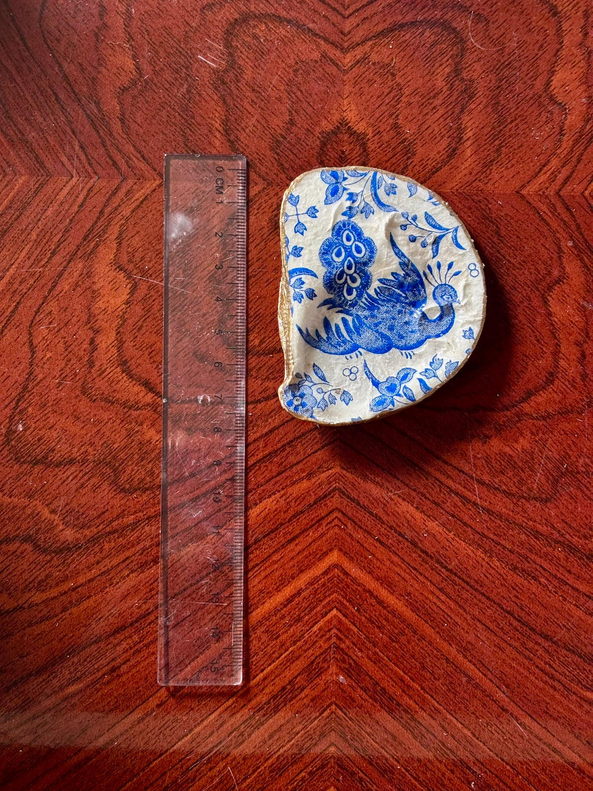 Decoupaged Shell - Peacock