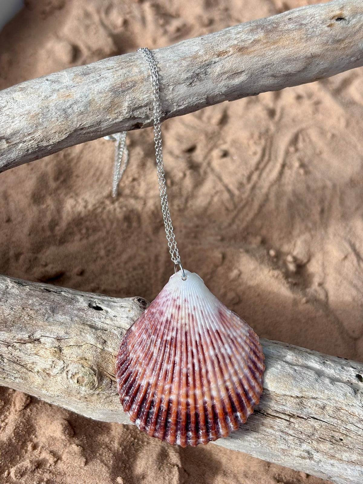 Sterling Silver Shell Necklace