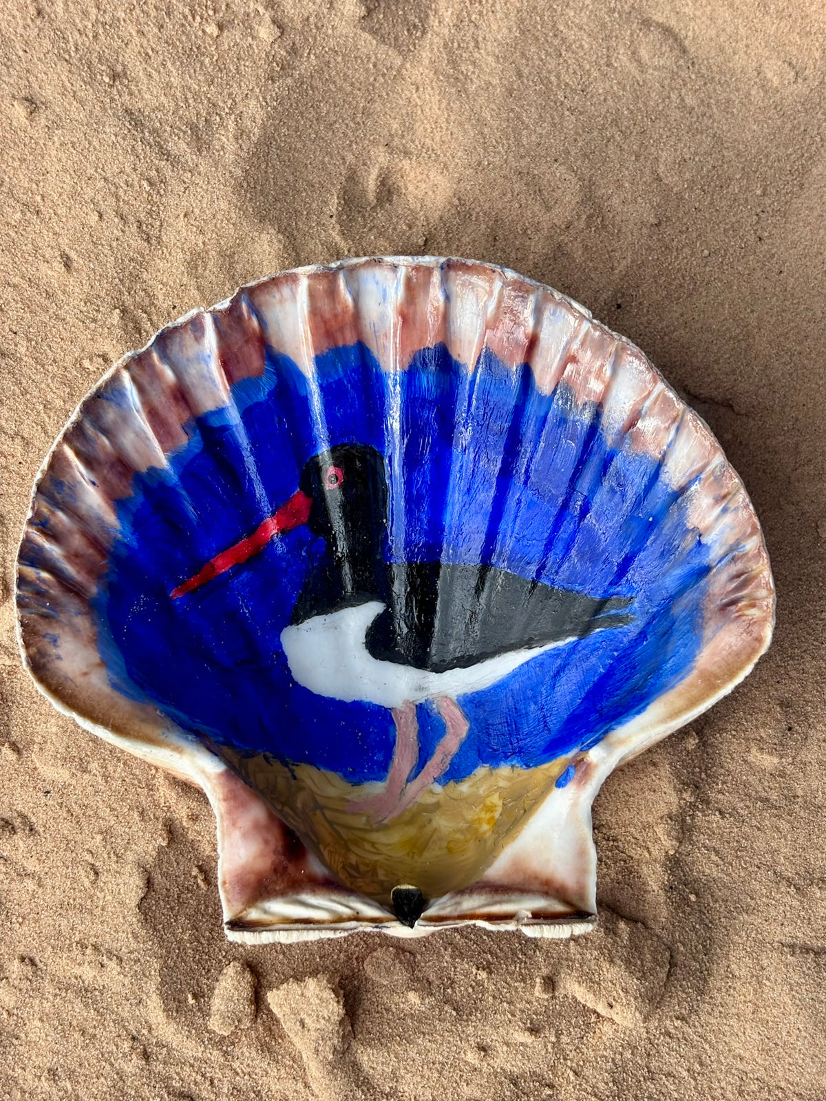 Hand-Painted Shell - Oystercatcher
