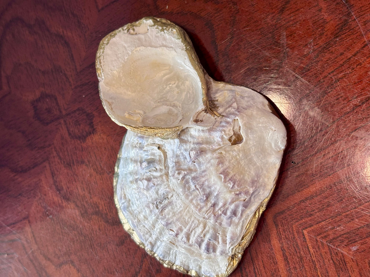 Decoupaged Shell - Seagull