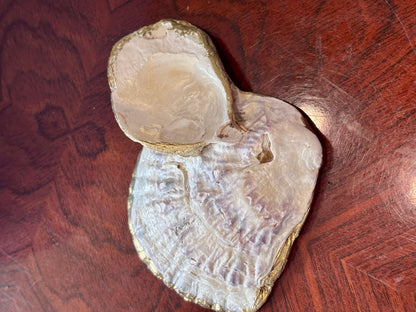 Decoupaged Shell - Seagull