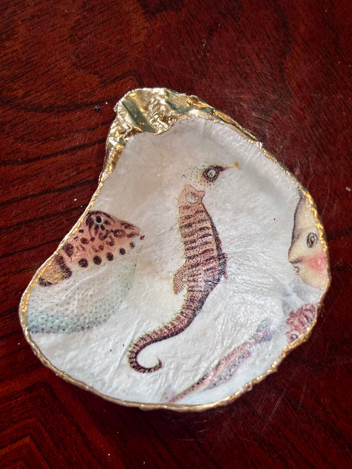Decoupaged Shell - Seahorse