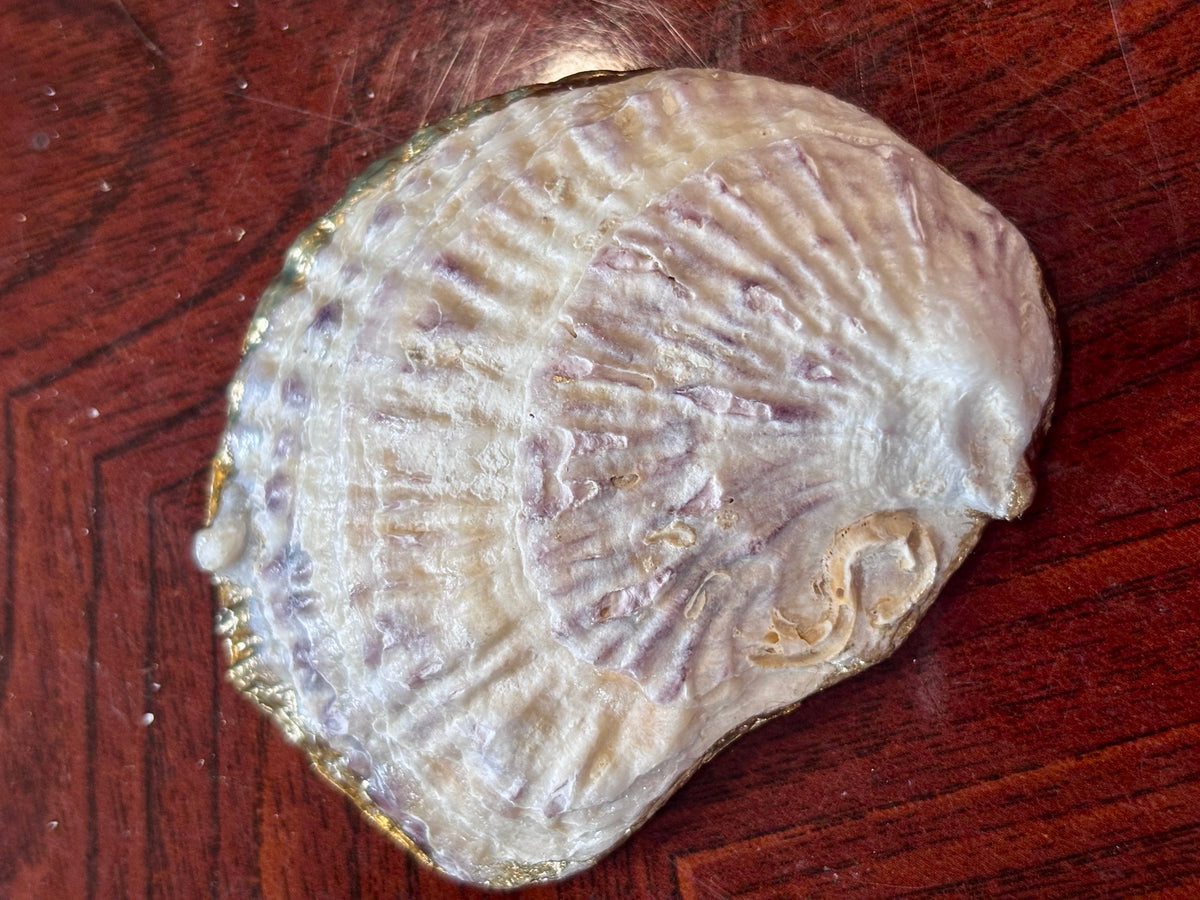 Decoupaged Shell - Stone