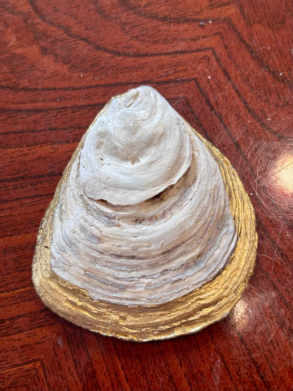 Decoupaged Shell - Seagulls