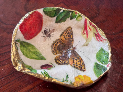 Decoupaged Shell - Butterfly