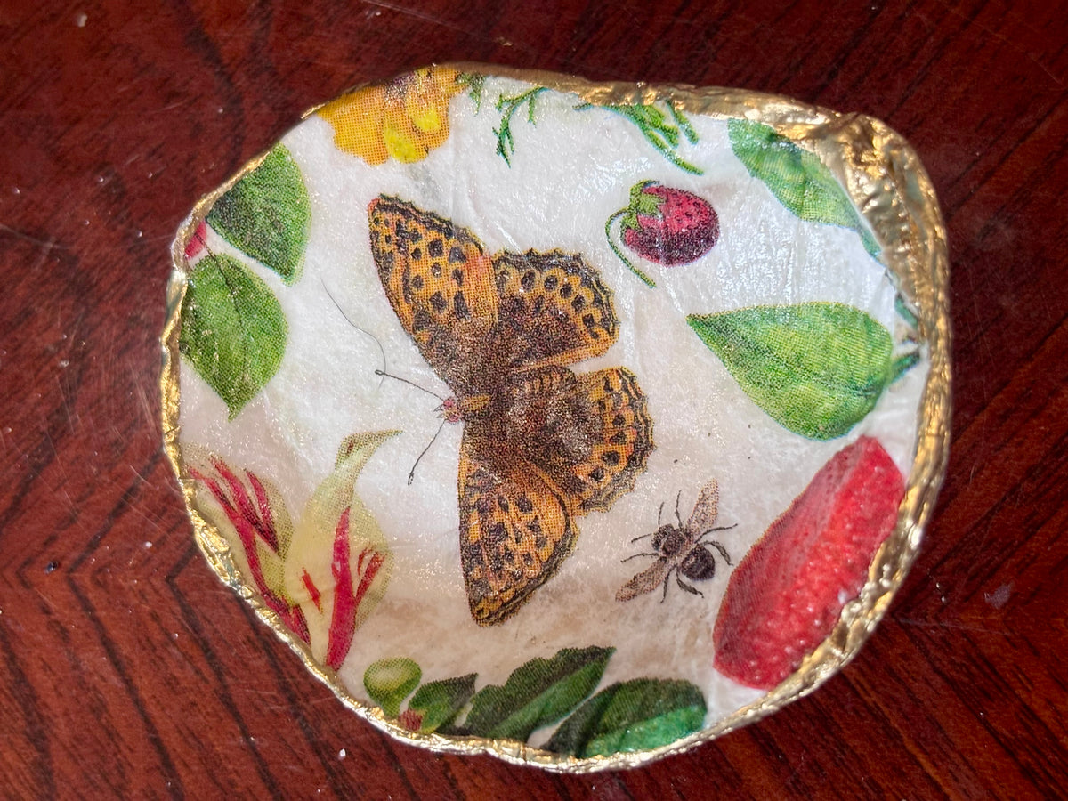 Decoupaged Shell - Butterfly