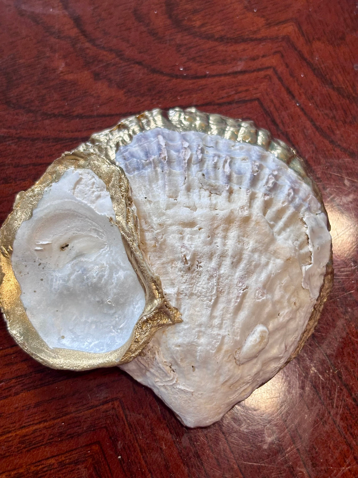 Decoupaged Shell - Fish