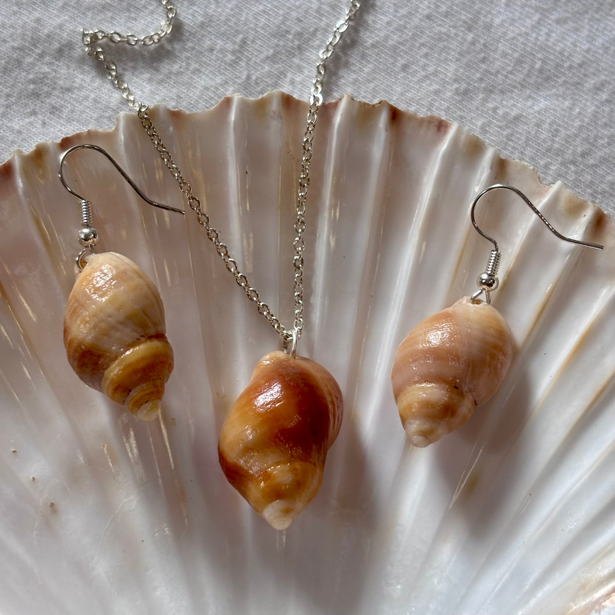 Silver Plated Shell Necklace and Earring Set
