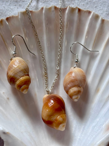 Silver Plated Shell Necklace and Earring Set