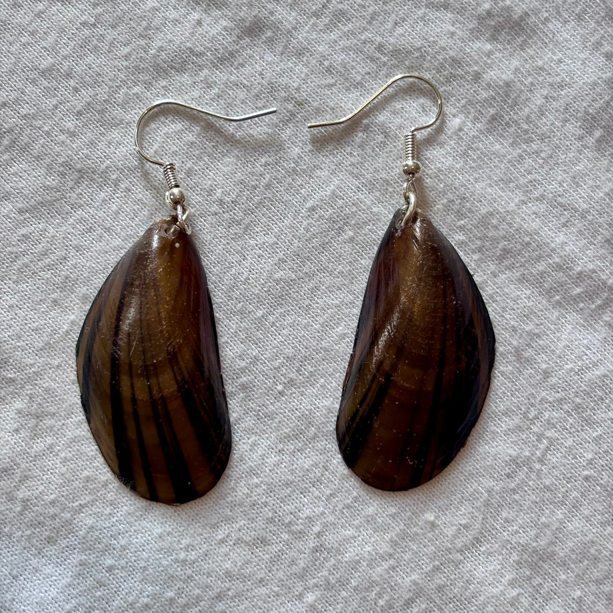 Silver Plated Mussel Earrings