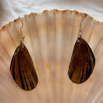 Silver Plated Mussel Earrings
