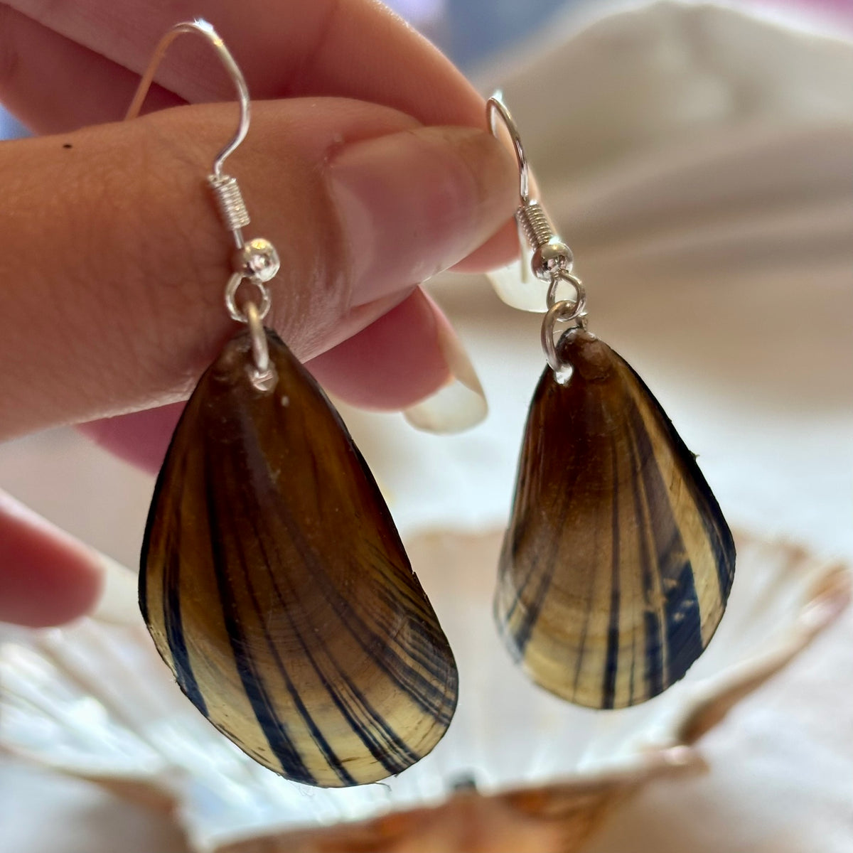 Silver Plated Mussel Earrings