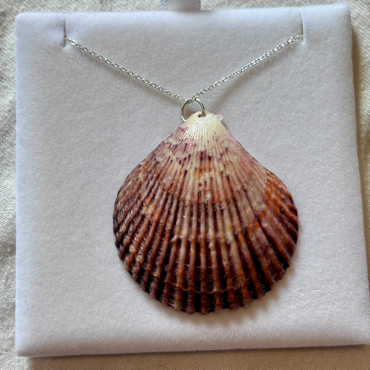 Sterling Silver Shell Necklace