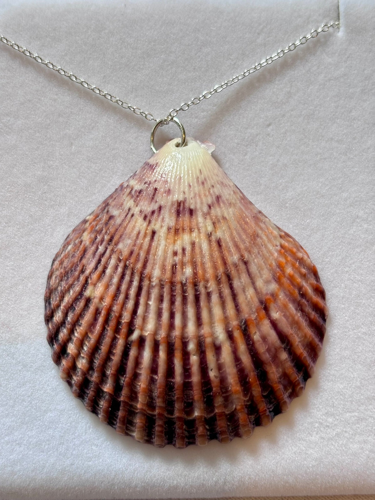 Sterling Silver Shell Necklace