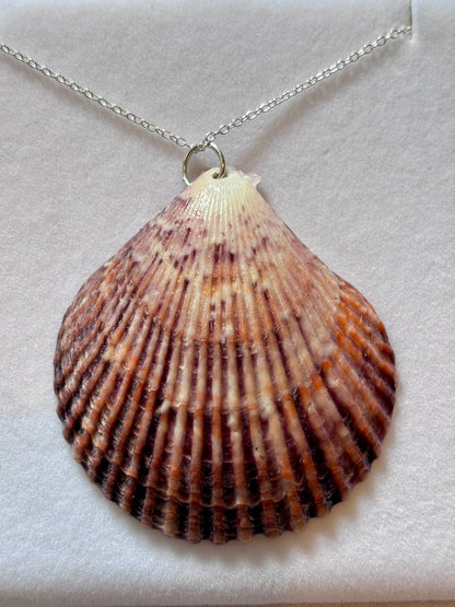 Sterling Silver Shell Necklace