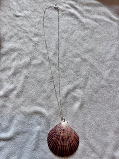 Sterling Silver Shell Necklace
