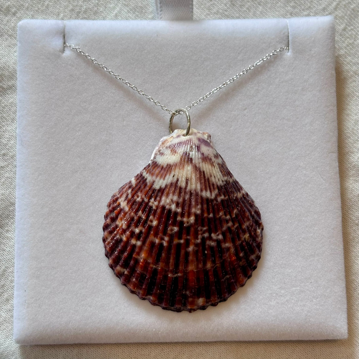 Sterling Silver Shell Necklace