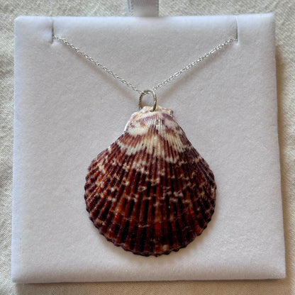 Sterling Silver Shell Necklace