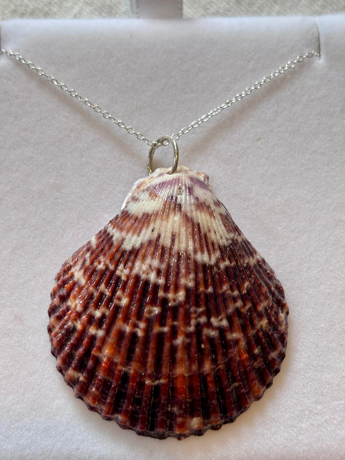 Sterling Silver Shell Necklace