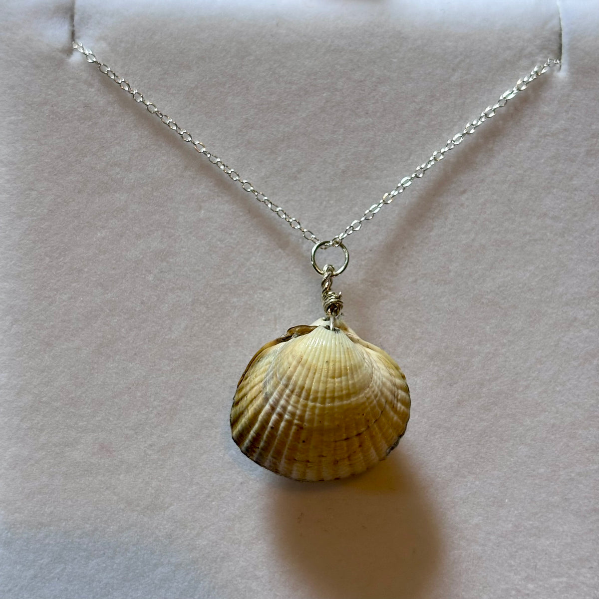 Sterling Silver Cockle Shell Necklace