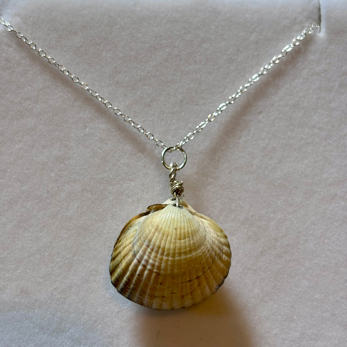 Sterling Silver Cockle Shell Necklace