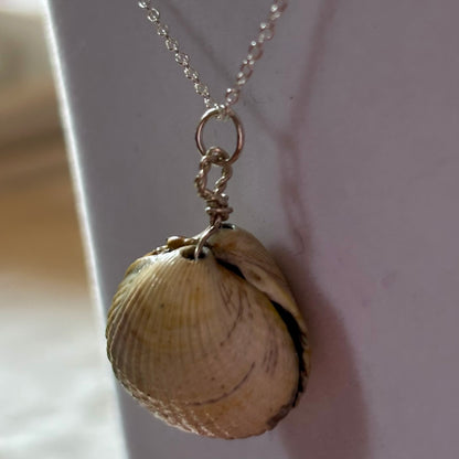 Sterling Silver Cockle Shell Necklace