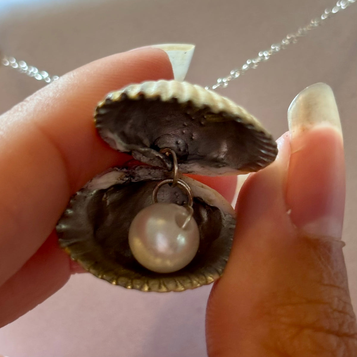 Sterling Silver Cockle Shell Necklace