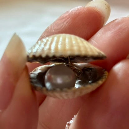 Sterling Silver Cockle Shell Necklace