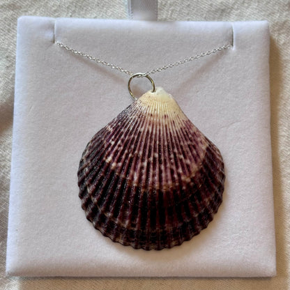 Sterling Silver Shell Necklace