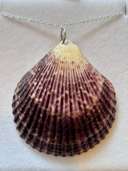 Sterling Silver Shell Necklace