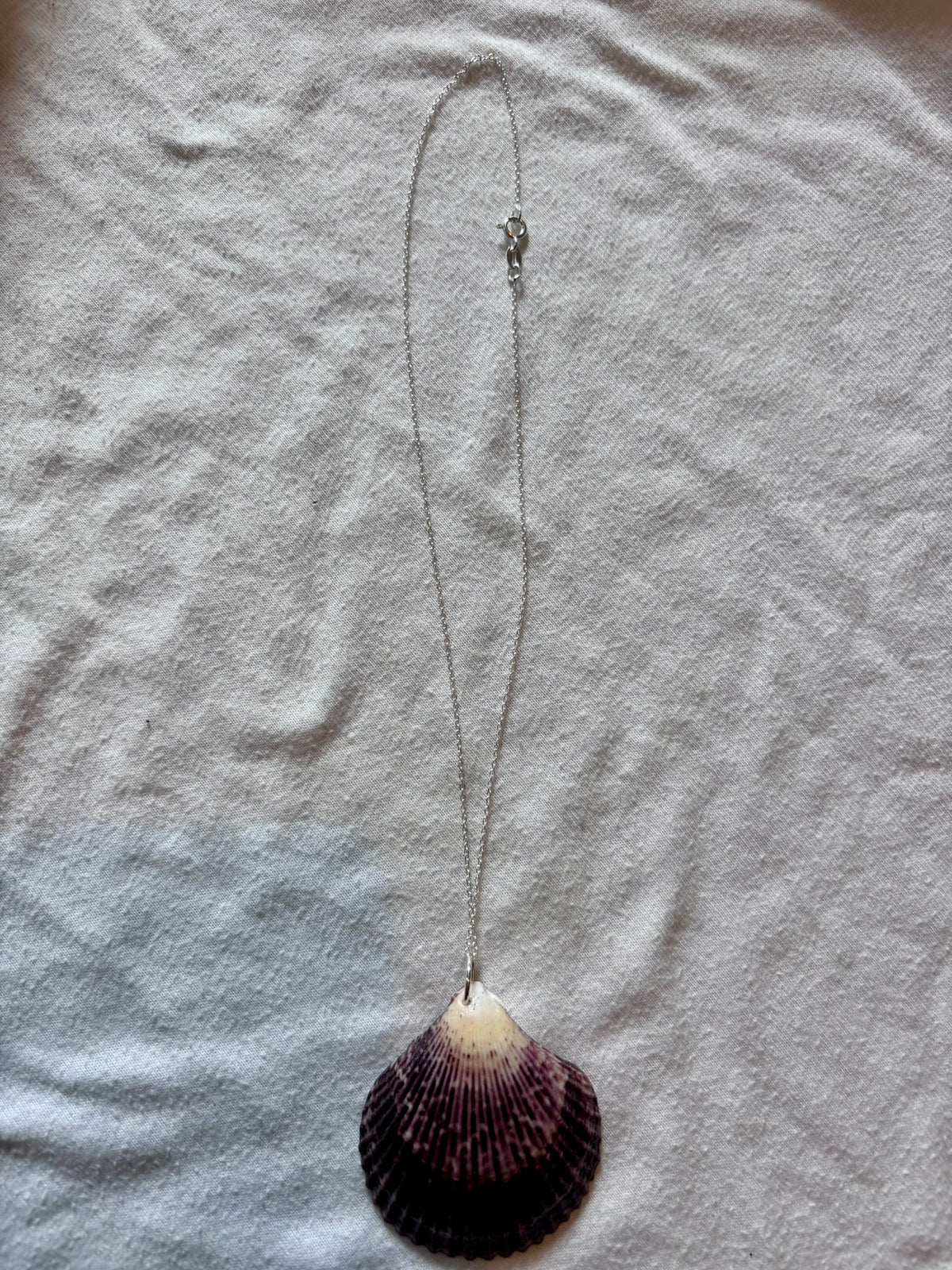 Sterling Silver Shell Necklace