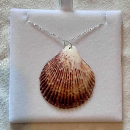 Sterling Silver Shell Necklace
