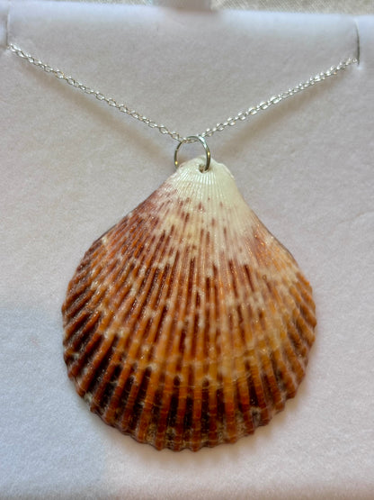 Sterling Silver Shell Necklace