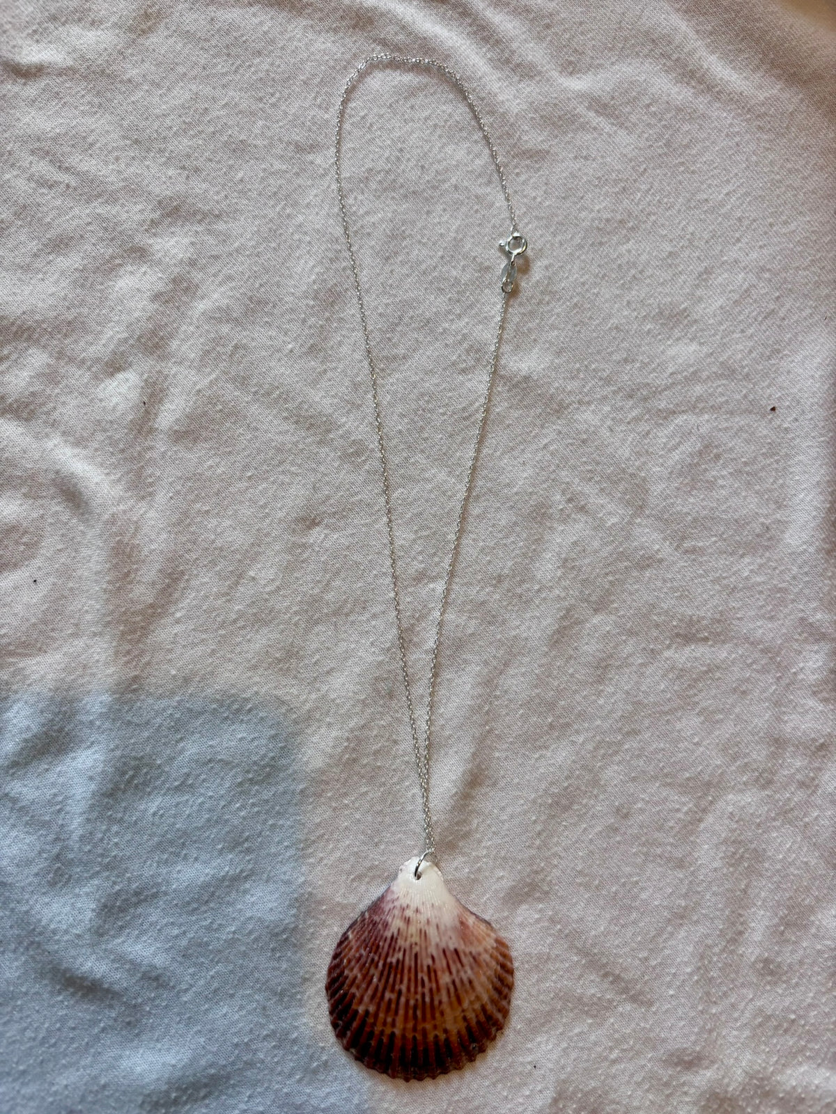 Sterling Silver Shell Necklace