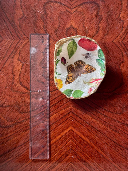 Decoupaged Shell - Butterfly