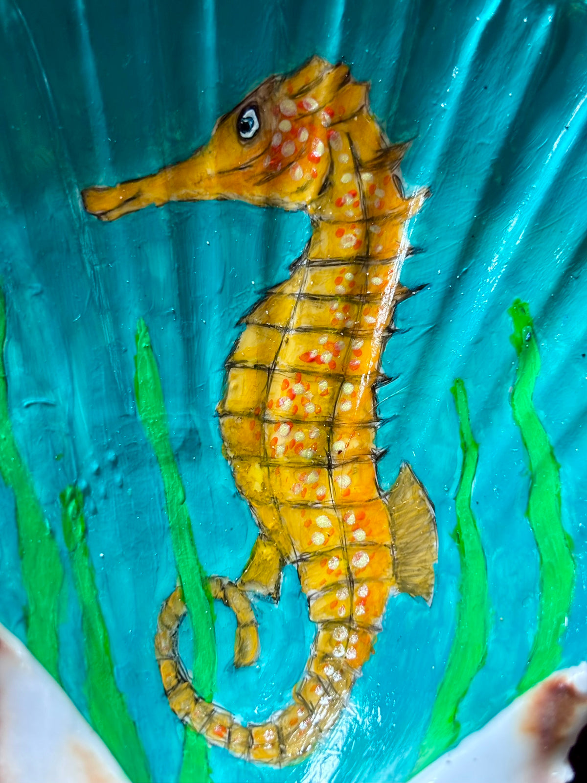Hand-Painted Shell - Seahorse