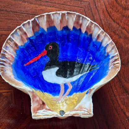 Hand-Painted Shell - Oystercatcher