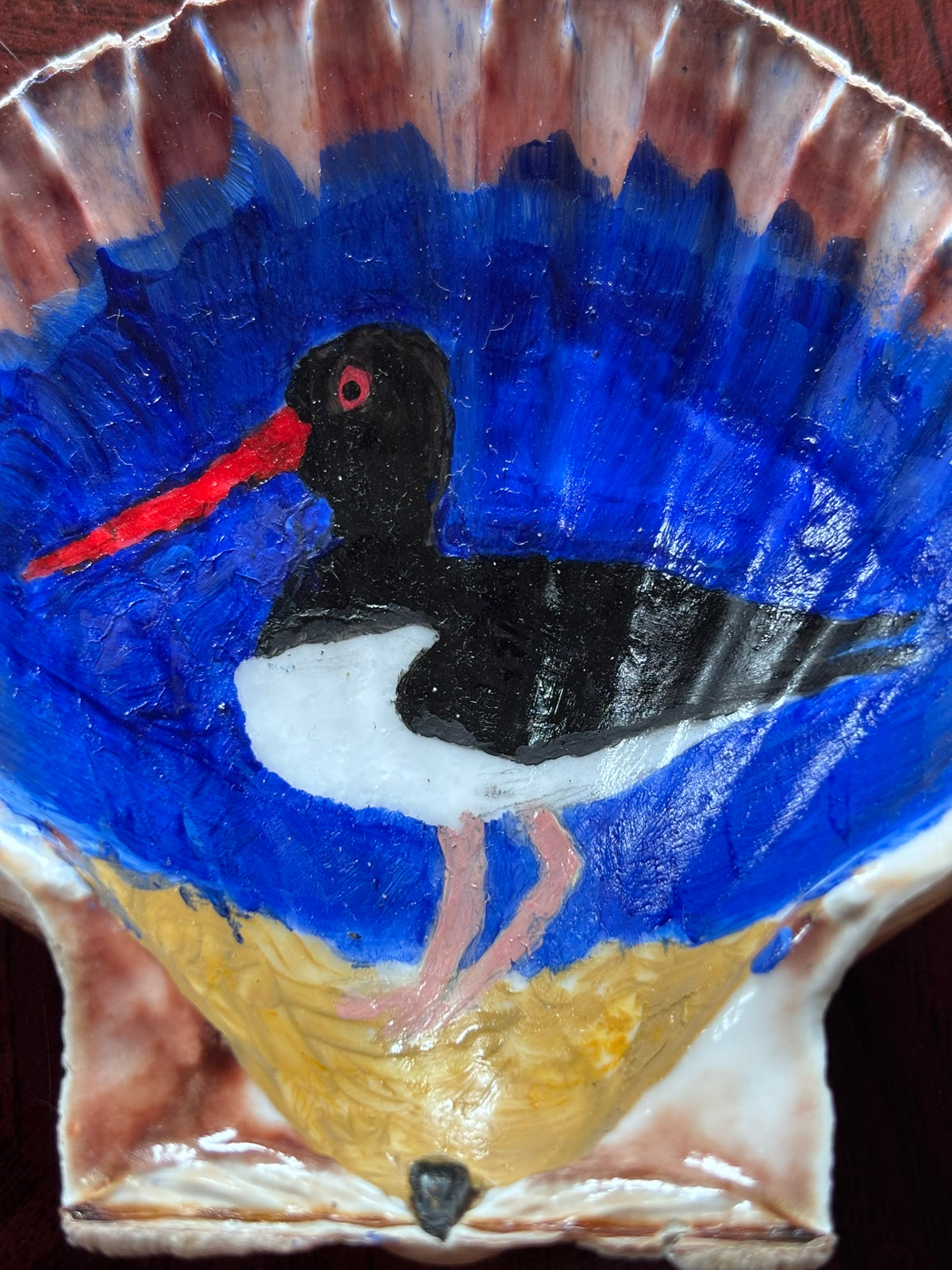 Hand-Painted Shell - Oystercatcher