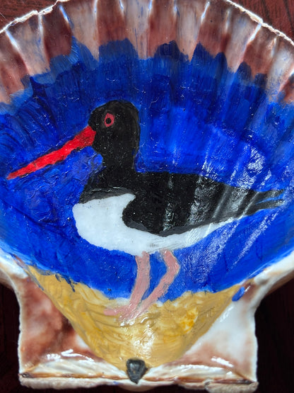 Hand-Painted Shell - Oystercatcher