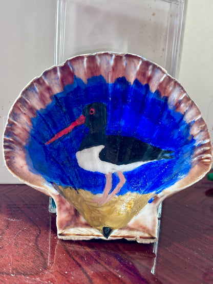 Hand-Painted Shell - Oystercatcher