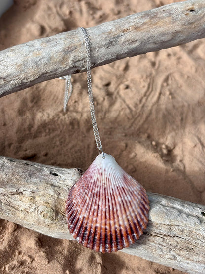 Sterling Silver Shell Necklace